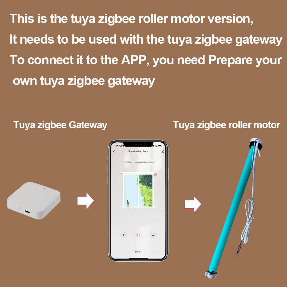 2N AC100-240V Tuya Zigbee Smar - Smart Home Youtube avis et prix