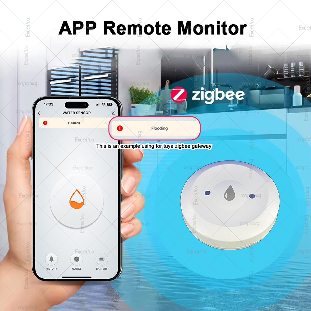 Zigbee Water Detector Leakage  - Smart Home News avis et prix