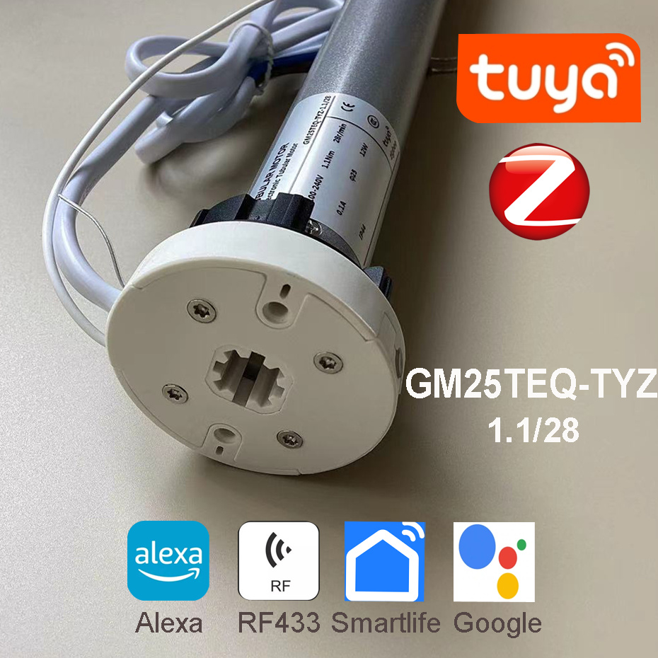 Tuya Zigbee GM25TEQ 1.1N Smart - Smart Home Youtube avis et prix