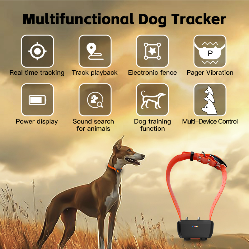 Special WiFi Waterproof GPS Do - Smart Home For Pc avis et prix
