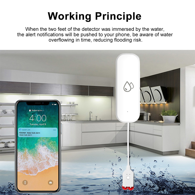 Tuya WiFi Water Leakage Alarm  - Smart Home News avis et prix