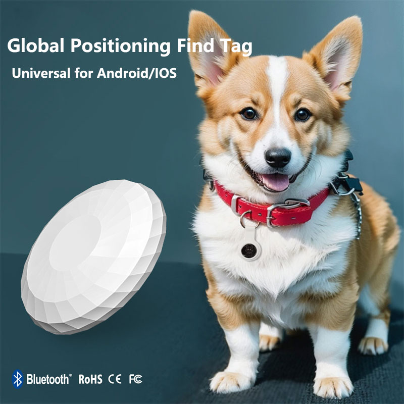 Smart Tag Really Global Positi - Smart Home Samsung avis et prix