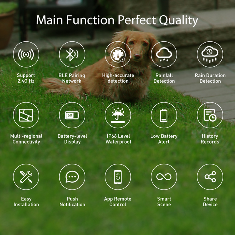 WiFi Rain Sensor Rainfall Dura - Smart Home News avis et prix
