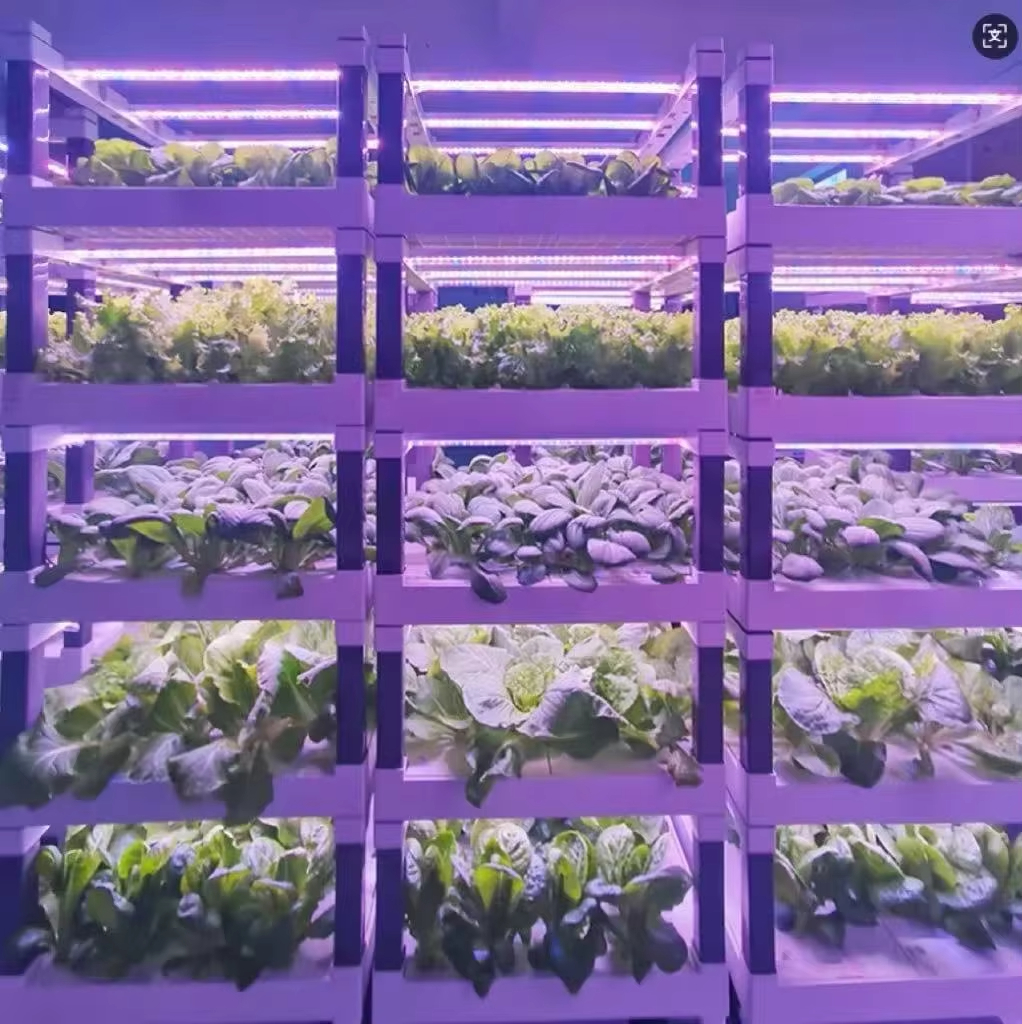 Hydroponic Grow System Greenho - Smart Home Devices avis et prix